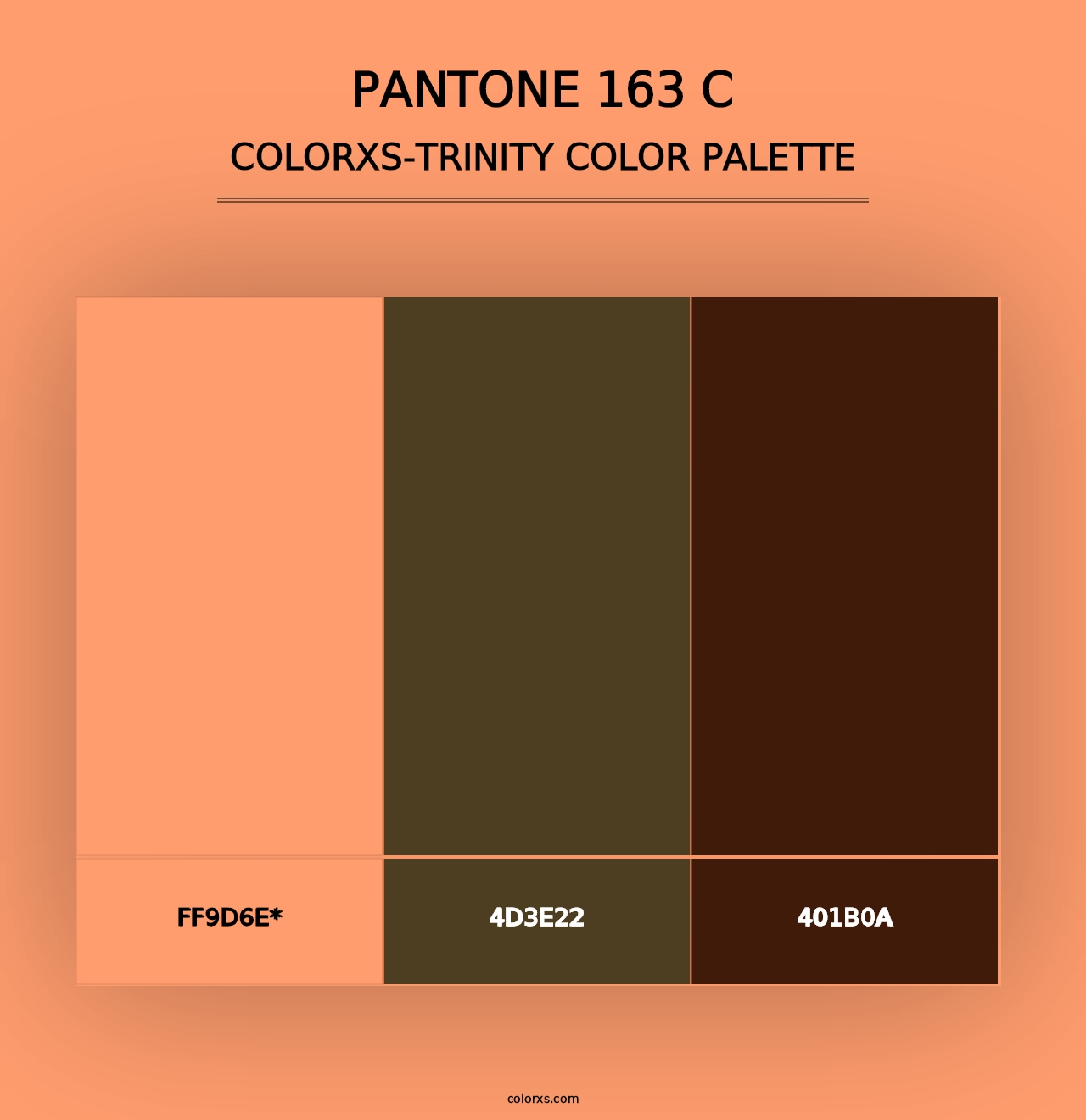 PANTONE 163 C - Colorxs Trinity Palette