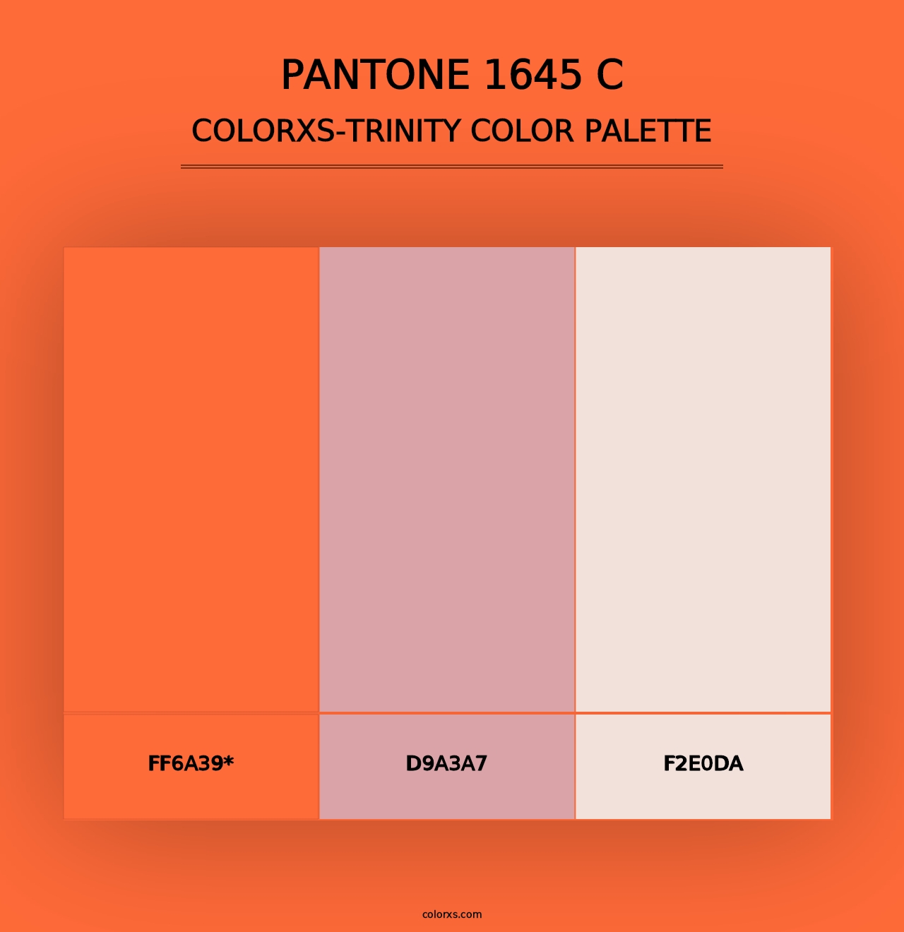 PANTONE 1645 C - Colorxs Trinity Palette