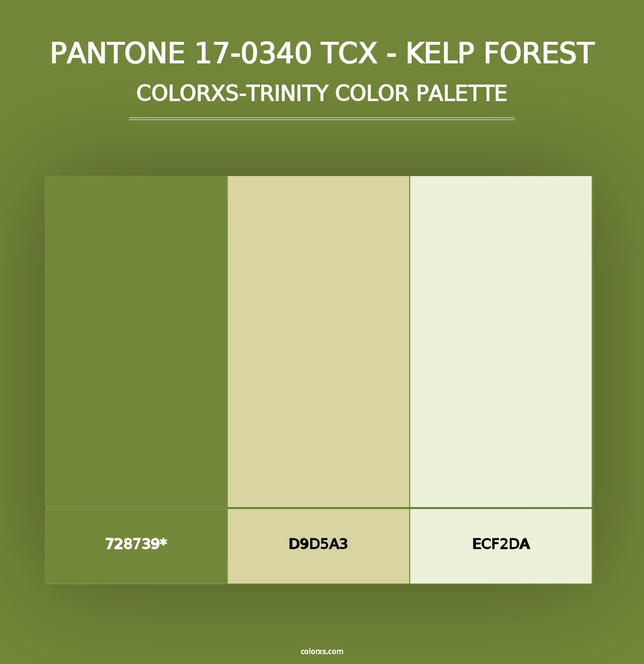 PANTONE 17-0340 TCX - Kelp Forest - Colorxs Trinity Palette