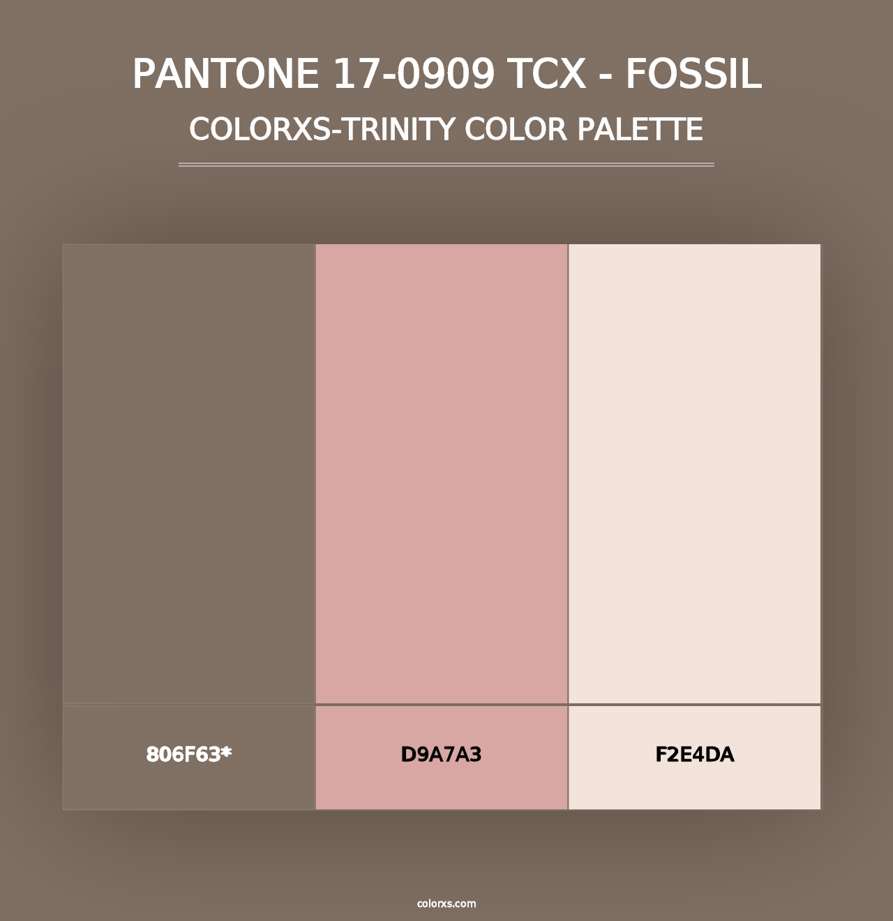 PANTONE 17-0909 TCX - Fossil - Colorxs Trinity Palette