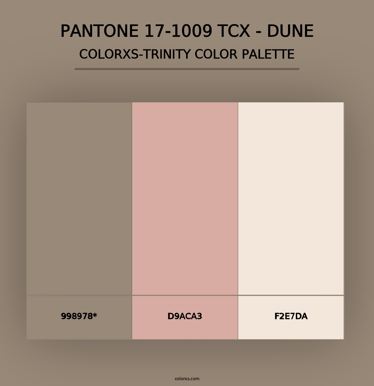 PANTONE 17-1009 TCX - Dune - Colorxs Trinity Palette