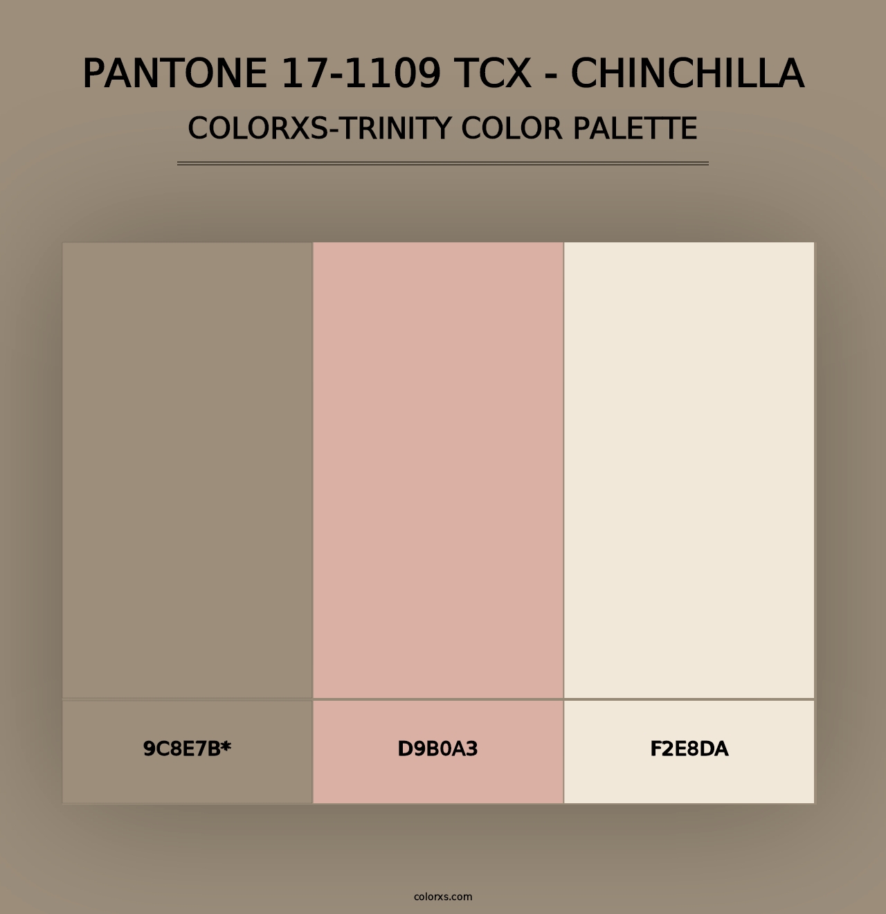 PANTONE 17-1109 TCX - Chinchilla - Colorxs Trinity Palette