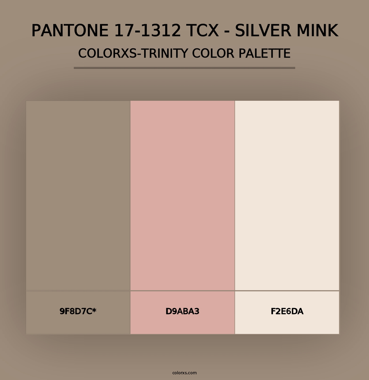 PANTONE 17-1312 TCX - Silver Mink - Colorxs Trinity Palette