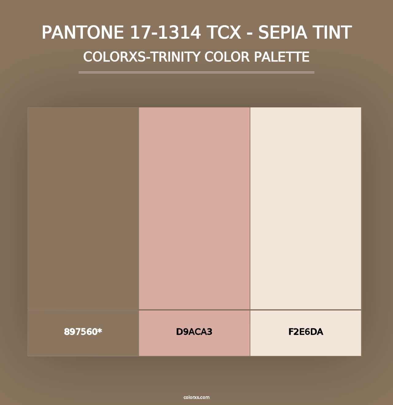 PANTONE 17-1314 TCX - Sepia Tint - Colorxs Trinity Palette