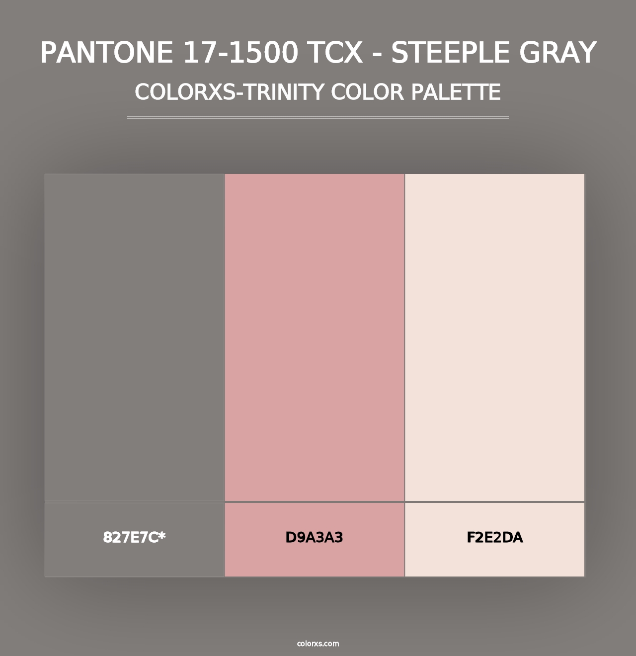 PANTONE 17-1500 TCX - Steeple Gray - Colorxs Trinity Palette