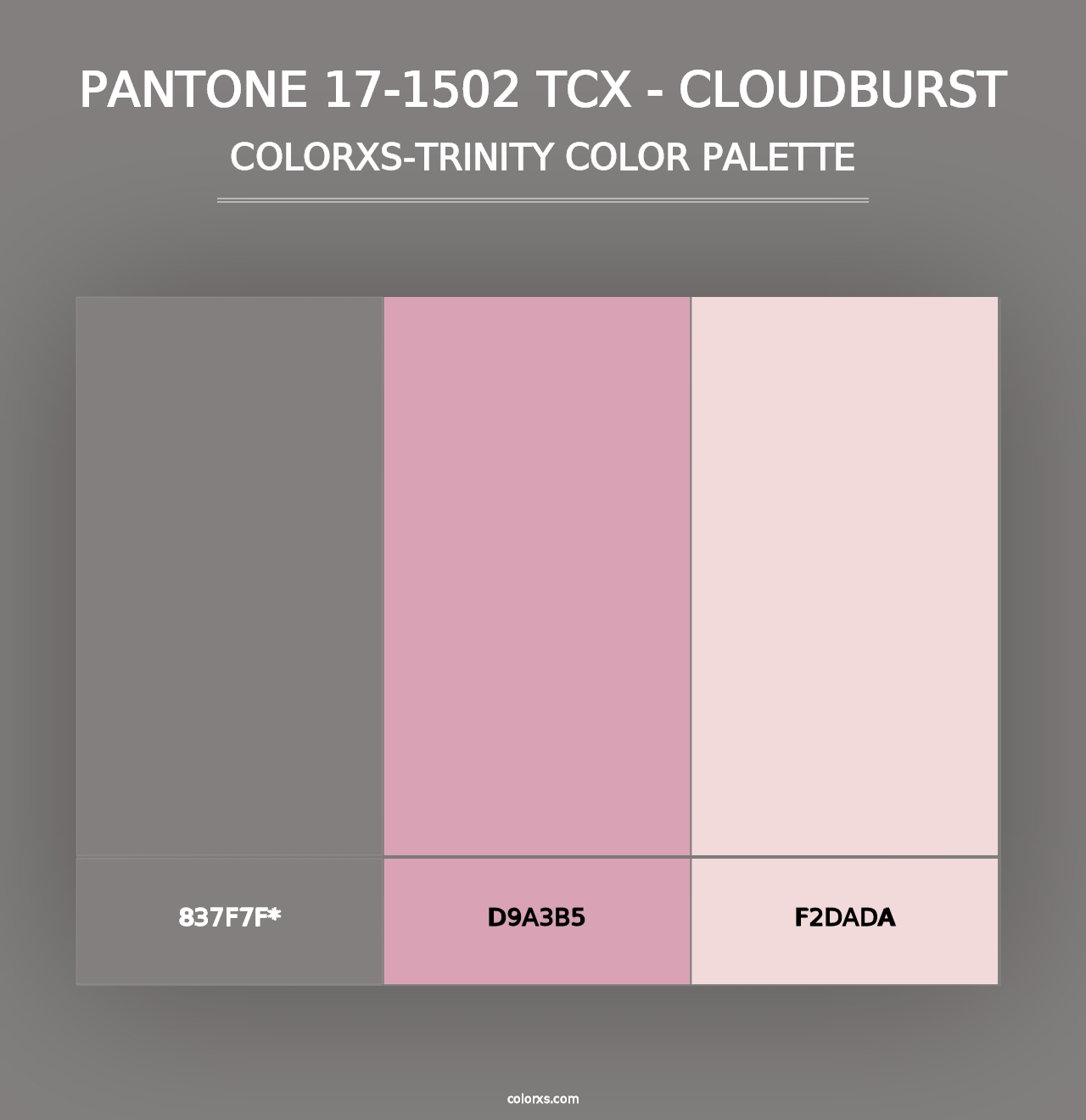 PANTONE 17-1502 TCX - Cloudburst - Colorxs Trinity Palette