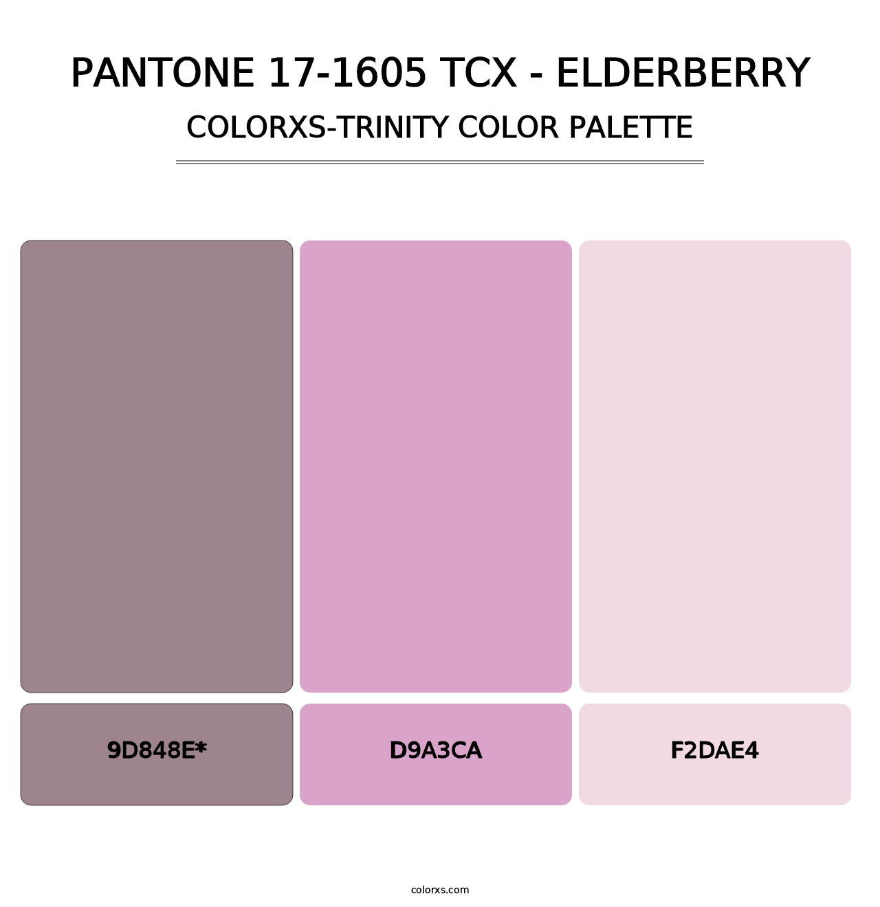 PANTONE 17-1605 TCX - Elderberry - Colorxs Trinity Palette