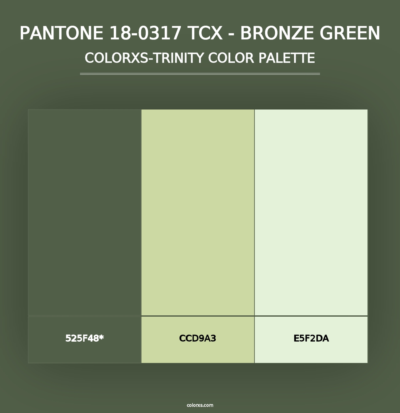 PANTONE 18-0317 TCX - Bronze Green - Colorxs Trinity Palette