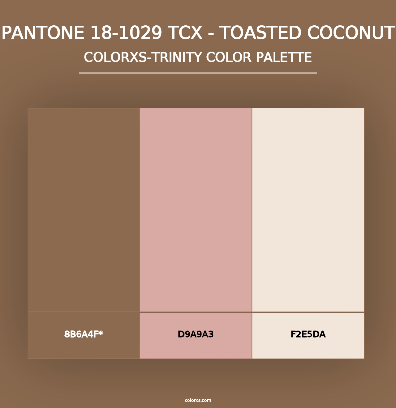 PANTONE 18-1029 TCX - Toasted Coconut - Colorxs Trinity Palette