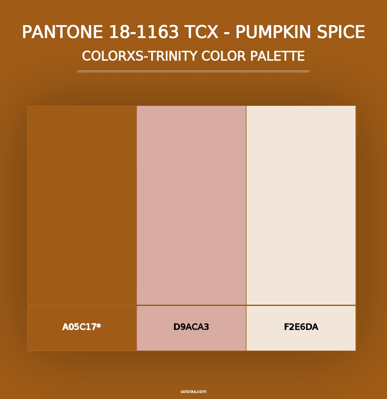 PANTONE 18-1163 TCX - Pumpkin Spice - Colorxs Trinity Palette