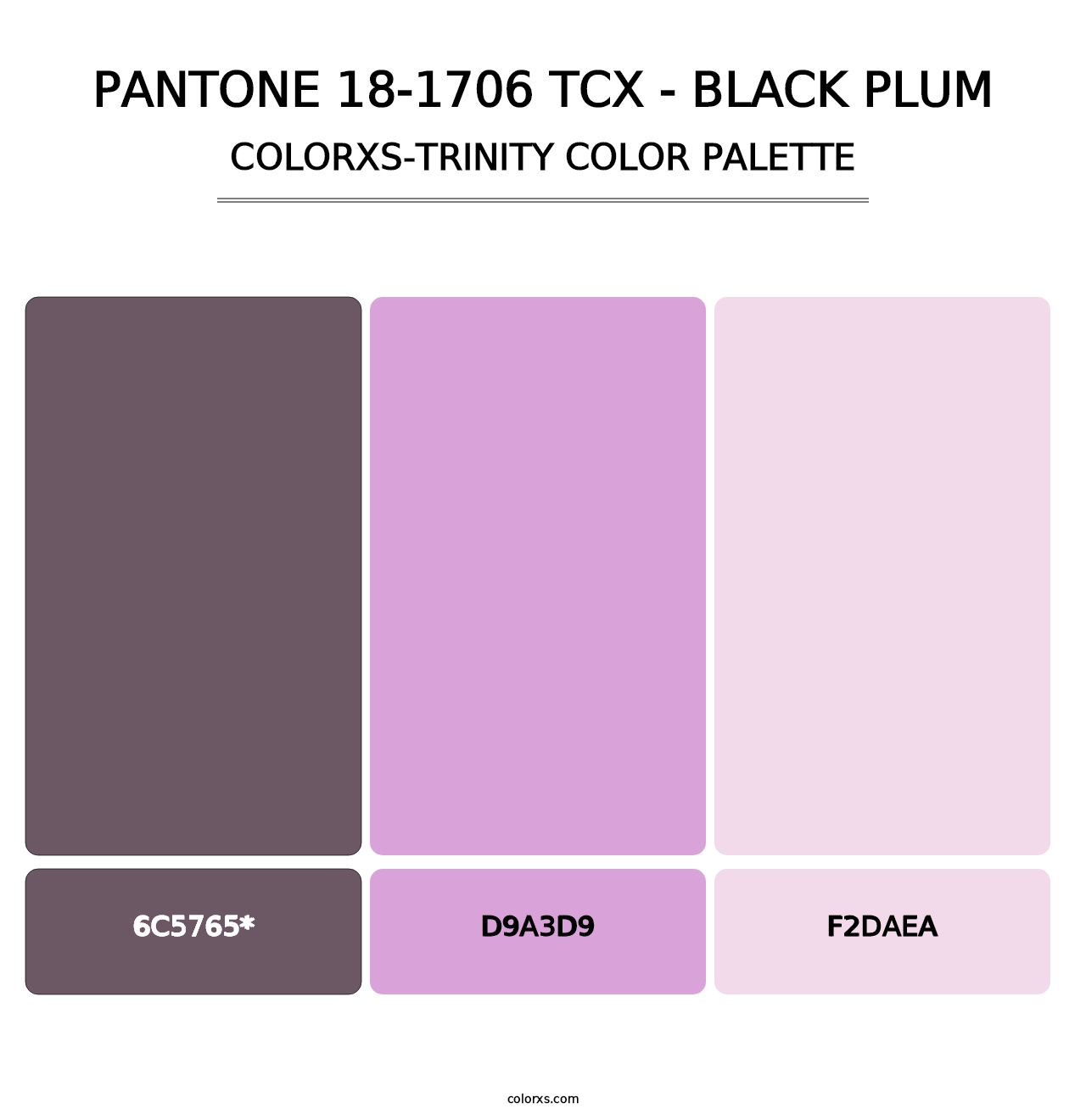 PANTONE 18-1706 TCX - Black Plum - Colorxs Trinity Palette