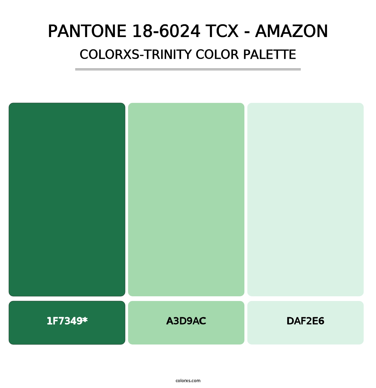 PANTONE 18-6024 TCX - Amazon - Colorxs Trinity Palette