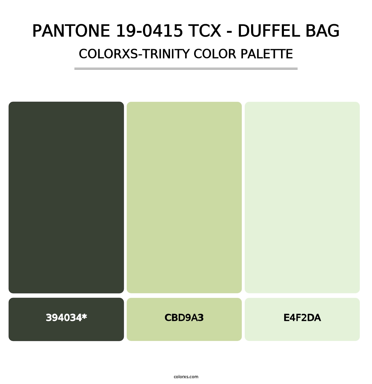 PANTONE 19-0415 TCX - Duffel Bag - Colorxs Trinity Palette