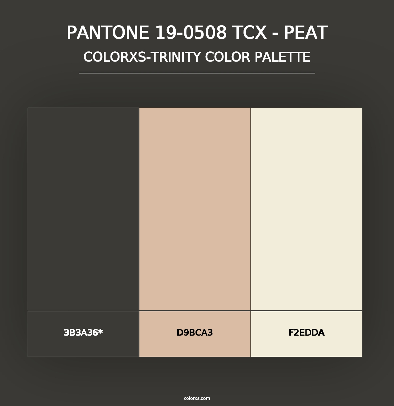 PANTONE 19-0508 TCX - Peat - Colorxs Trinity Palette