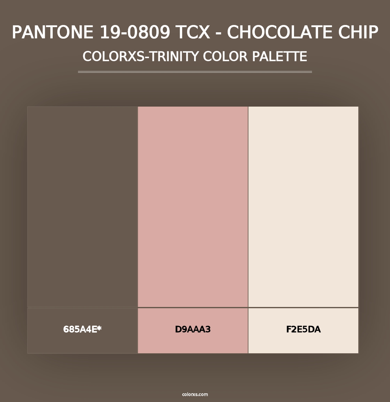 PANTONE 19-0809 TCX - Chocolate Chip - Colorxs Trinity Palette