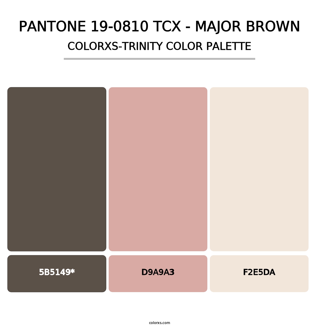 PANTONE 19-0810 TCX - Major Brown - Colorxs Trinity Palette