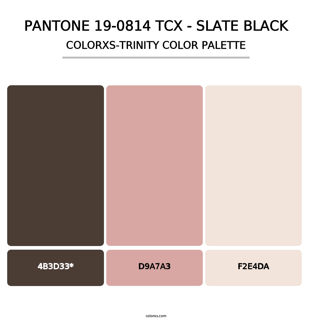 PANTONE 19-0814 TCX - Slate Black - Colorxs Trinity Palette