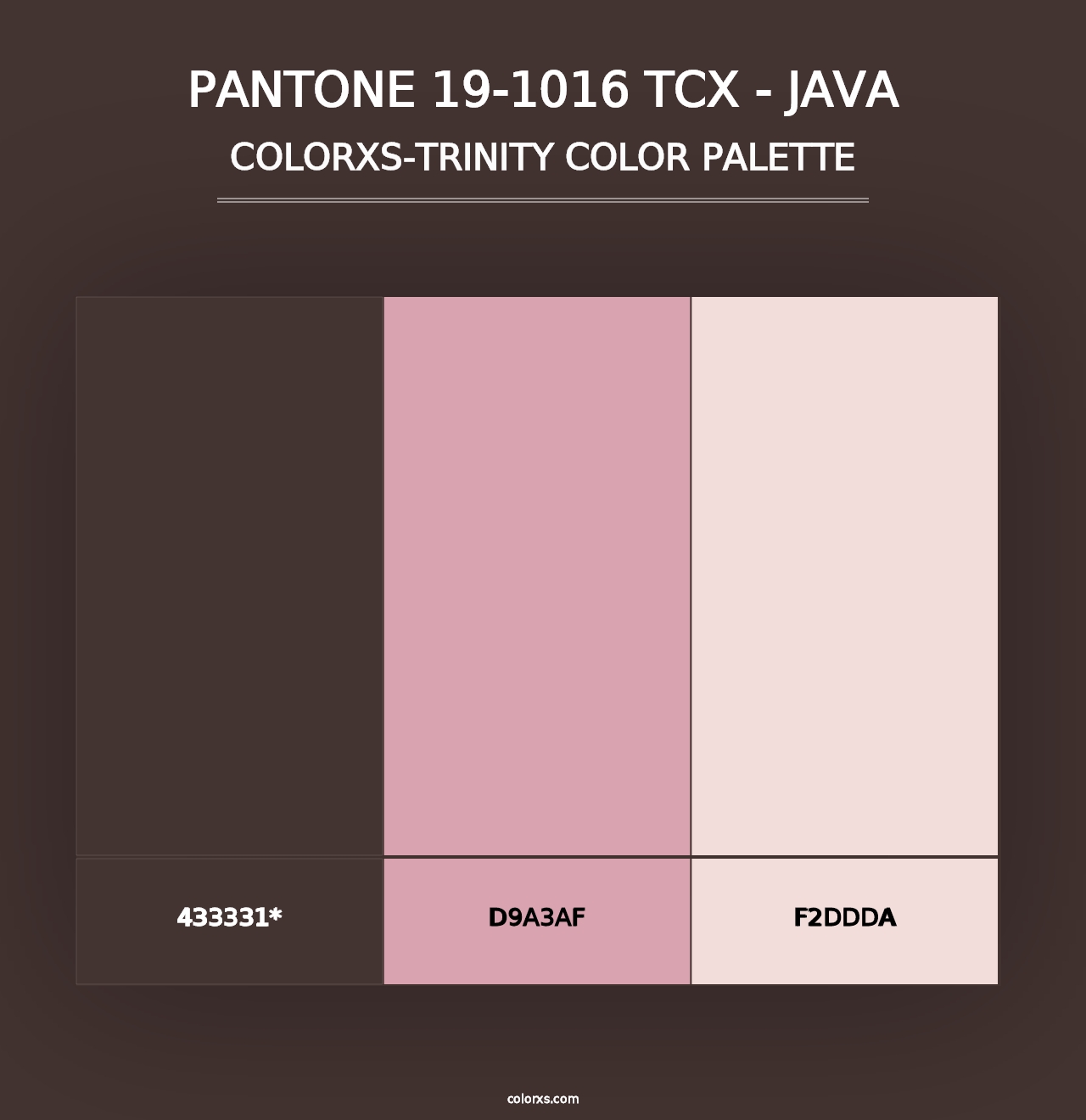 PANTONE 19-1016 TCX - Java - Colorxs Trinity Palette