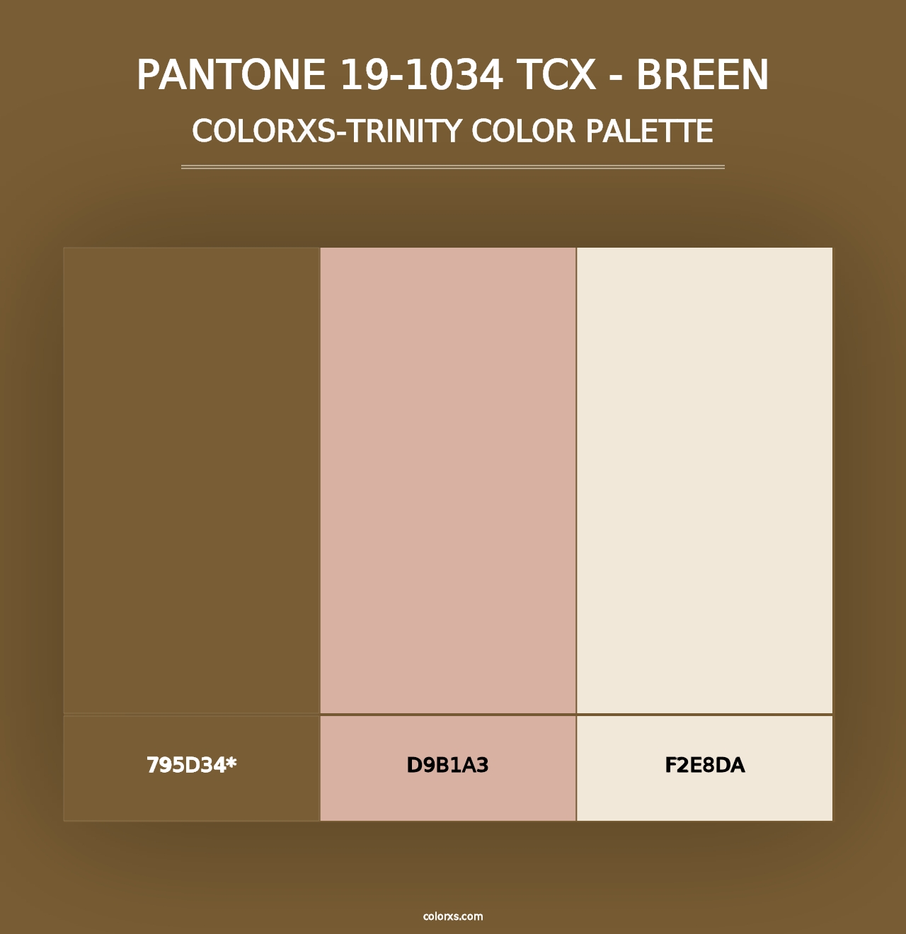 PANTONE 19-1034 TCX - Breen - Colorxs Trinity Palette