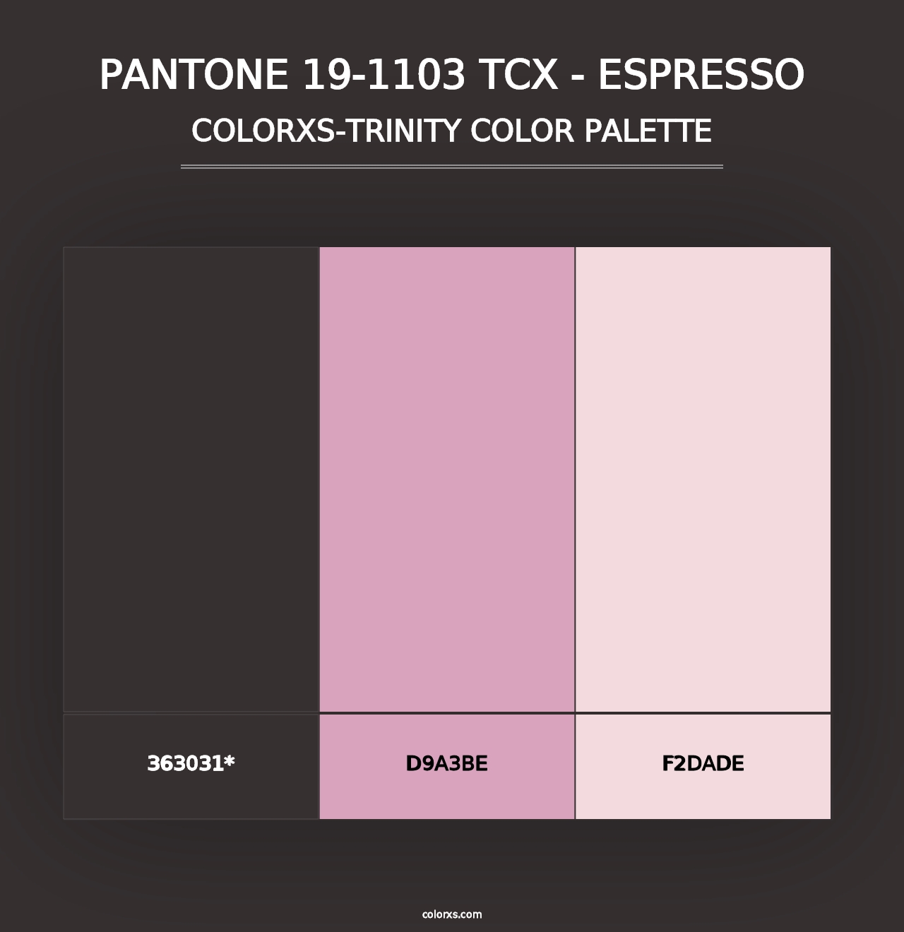 PANTONE 19-1103 TCX - Espresso - Colorxs Trinity Palette