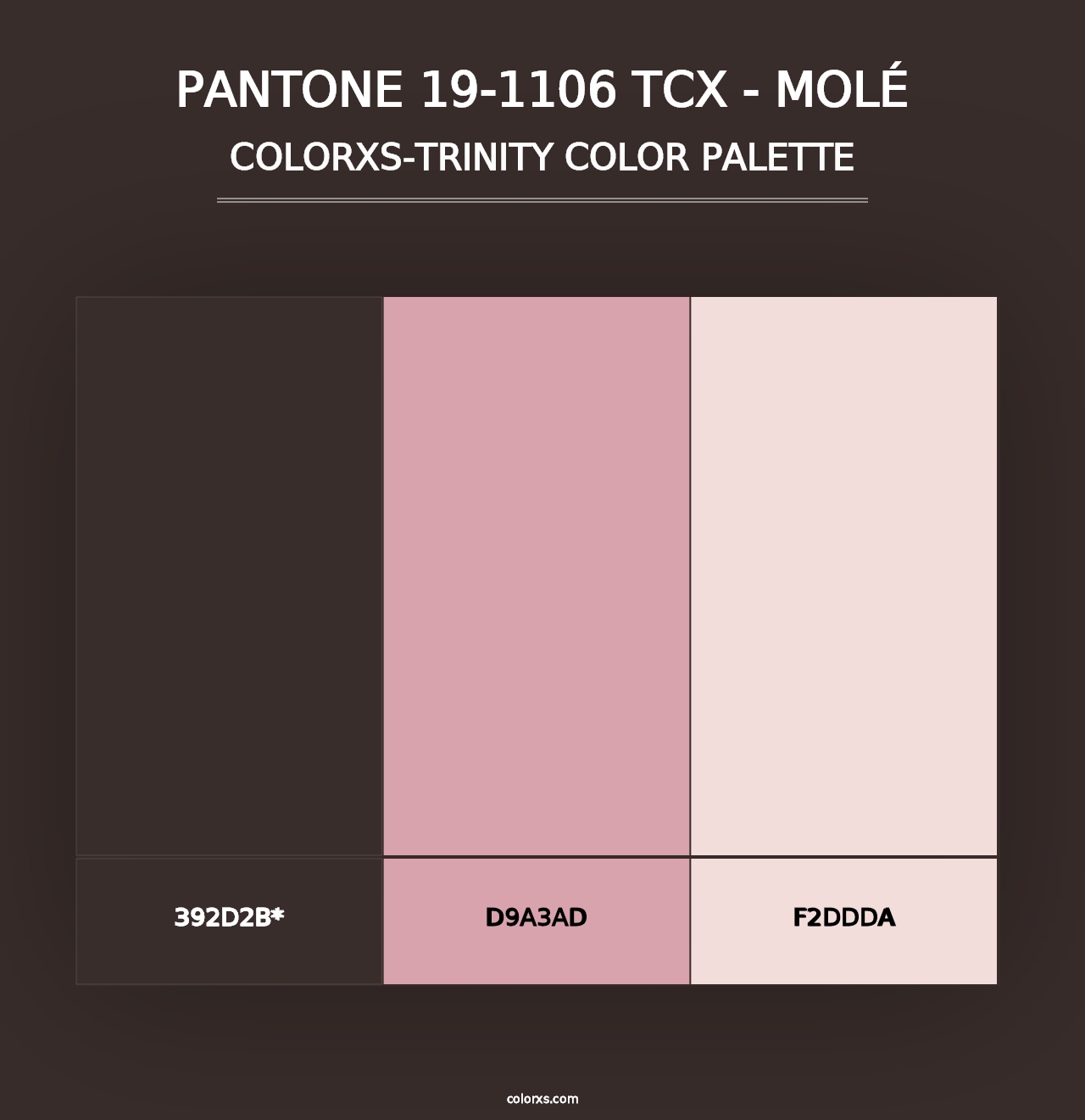 PANTONE 19-1106 TCX - Molé - Colorxs Trinity Palette