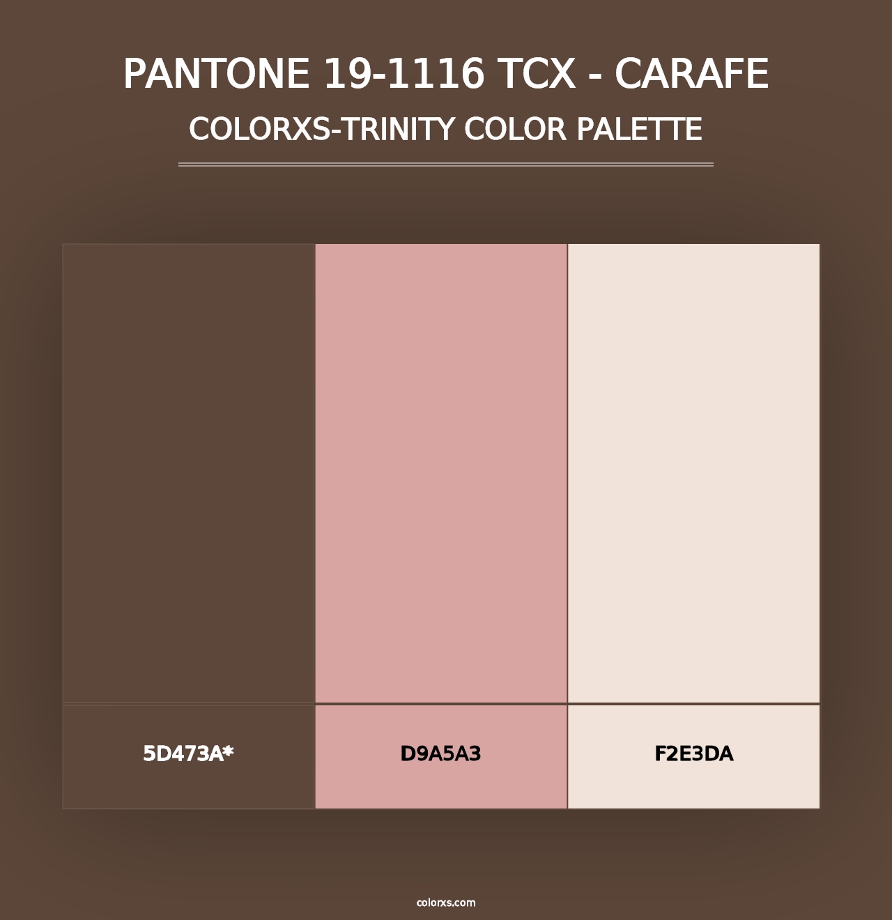 PANTONE 19-1116 TCX - Carafe - Colorxs Trinity Palette