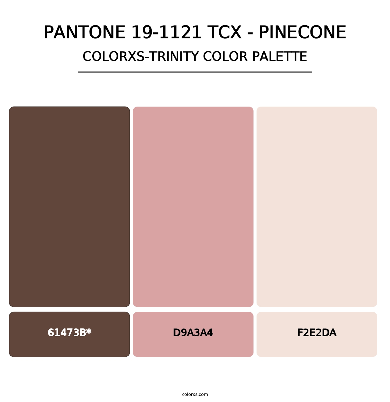 PANTONE 19-1121 TCX - Pinecone - Colorxs Trinity Palette