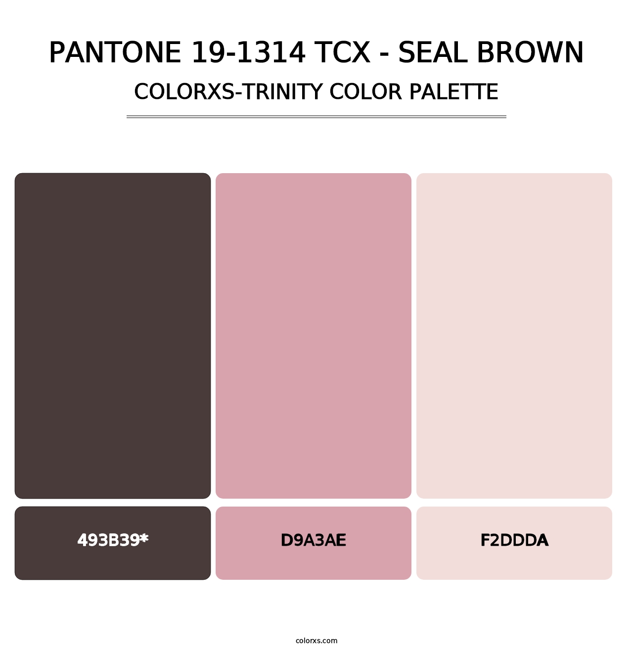 PANTONE 19-1314 TCX - Seal Brown - Colorxs Trinity Palette