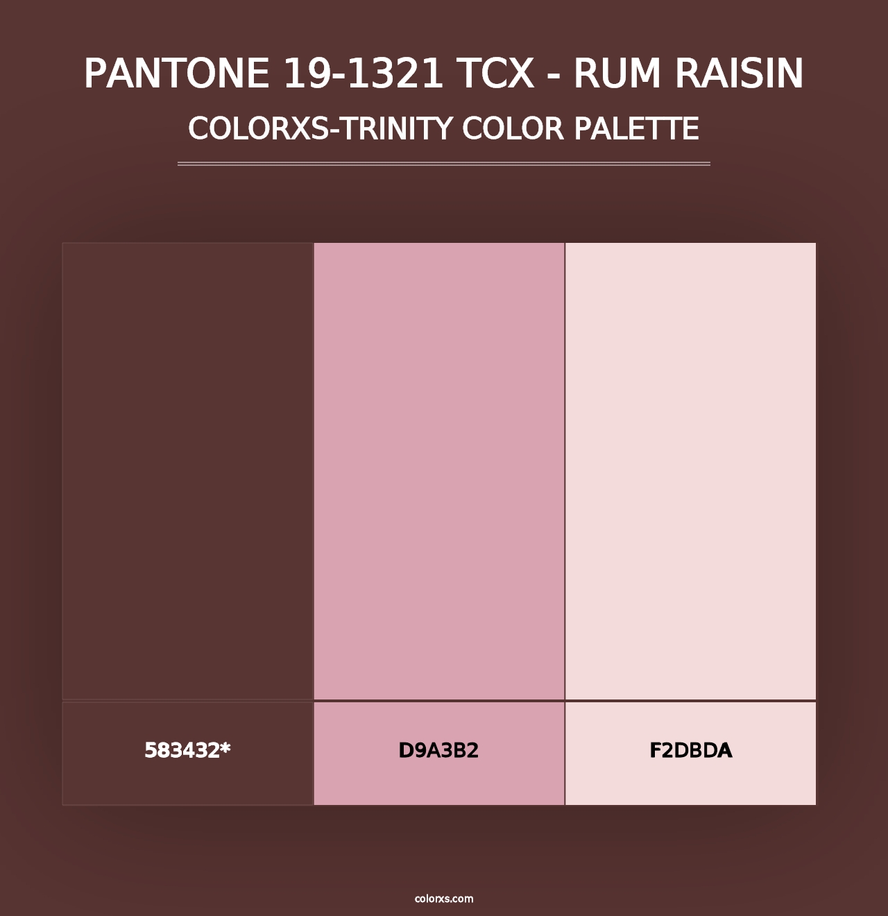 PANTONE 19-1321 TCX - Rum Raisin - Colorxs Trinity Palette