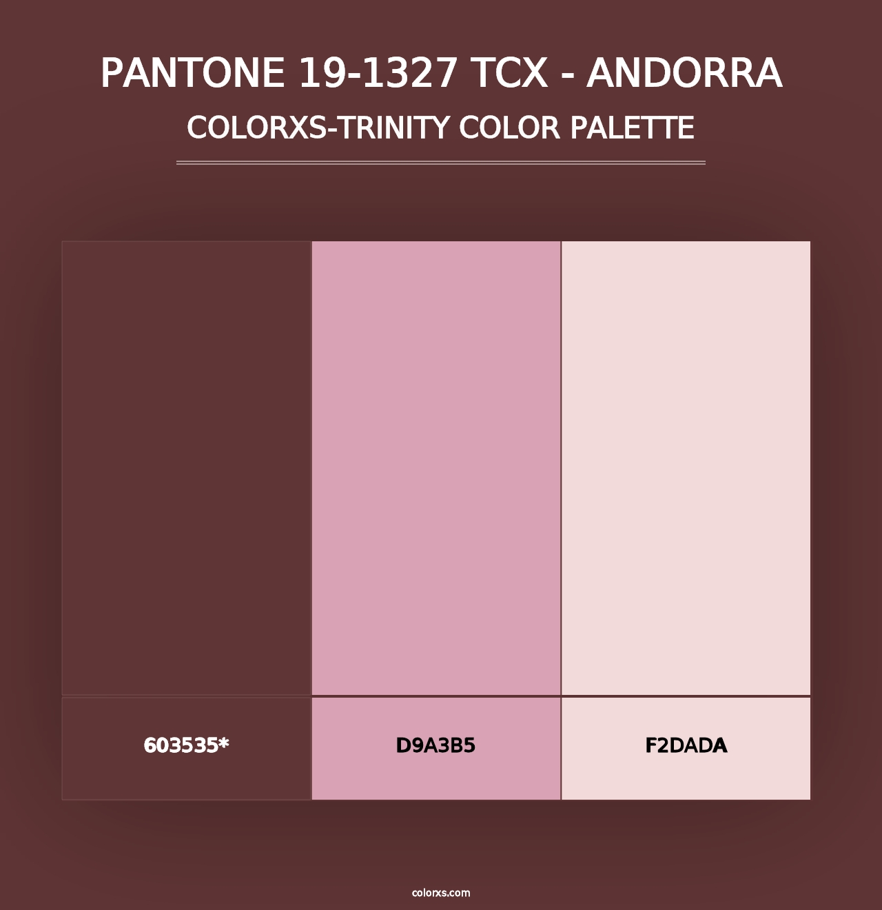 PANTONE 19-1327 TCX - Andorra - Colorxs Trinity Palette