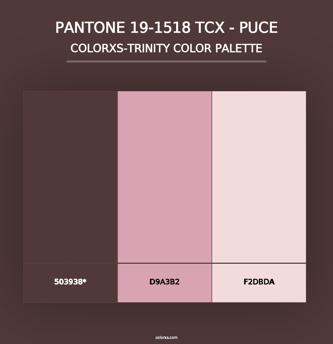 PANTONE 19-1518 TCX - Puce - Colorxs Trinity Palette