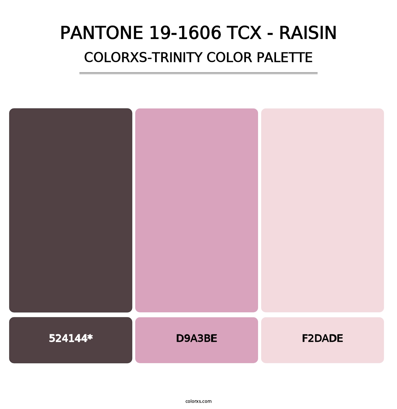 PANTONE 19-1606 TCX - Raisin - Colorxs Trinity Palette