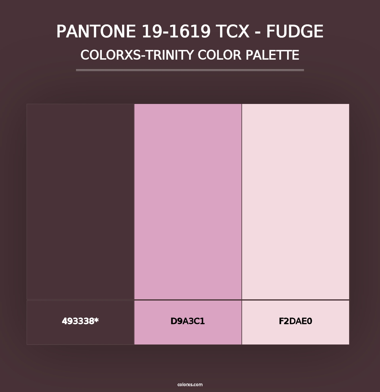 PANTONE 19-1619 TCX - Fudge - Colorxs Trinity Palette