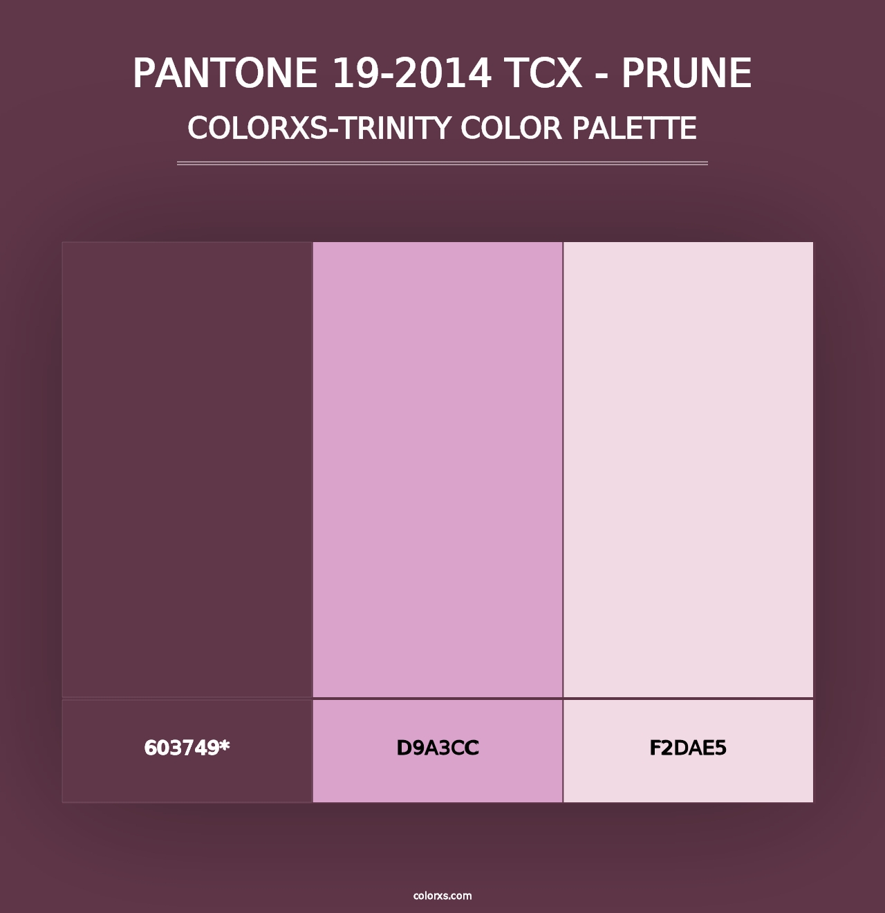 PANTONE 19-2014 TCX - Prune - Colorxs Trinity Palette