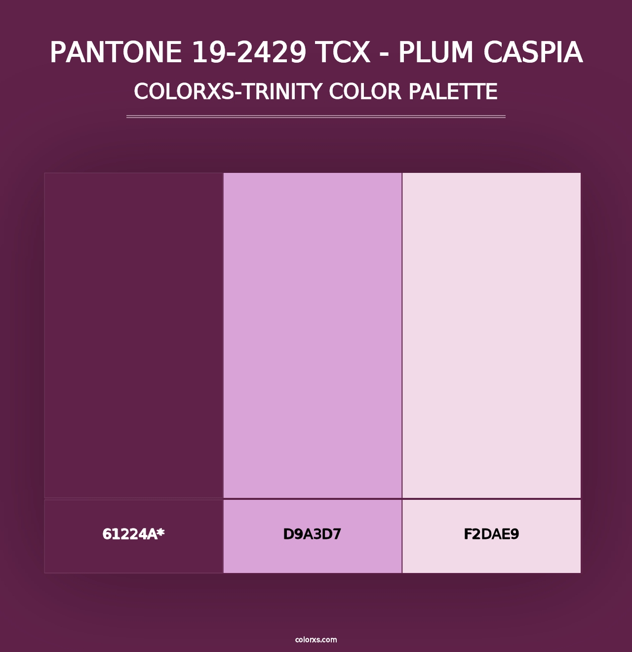 PANTONE 19-2429 TCX - Plum Caspia - Colorxs Trinity Palette