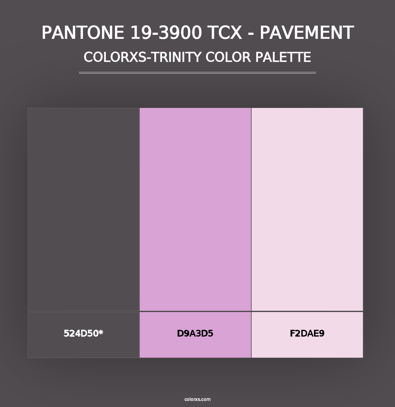 PANTONE 19-3900 TCX - Pavement - Colorxs Trinity Palette