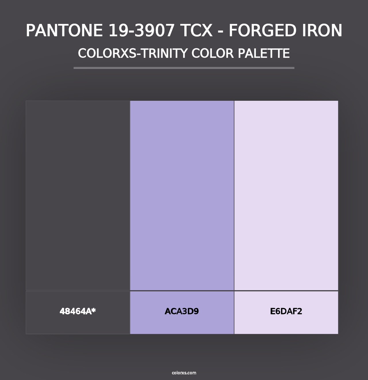 PANTONE 19-3907 TCX - Forged Iron - Colorxs Trinity Palette