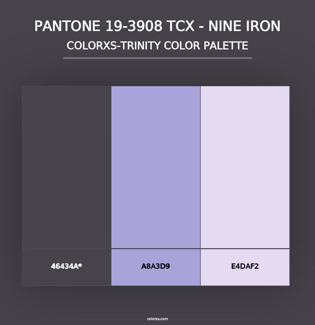 PANTONE 19-3908 TCX - Nine Iron - Colorxs Trinity Palette