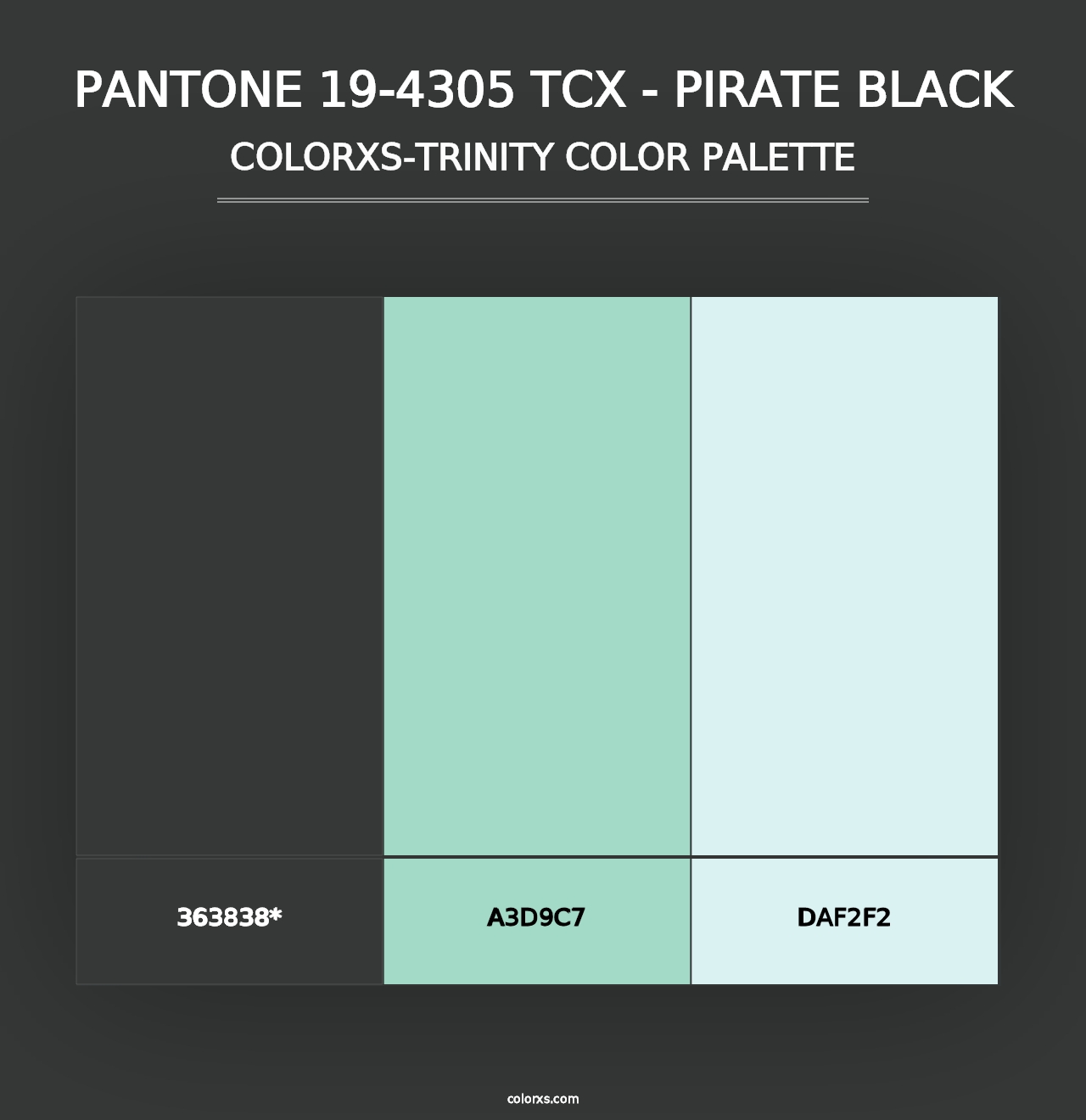 PANTONE 19-4305 TCX - Pirate Black - Colorxs Trinity Palette