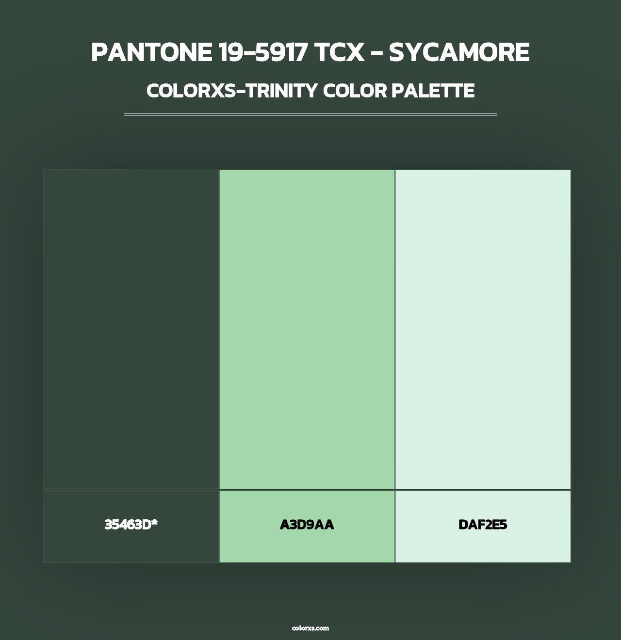 PANTONE 19-5917 TCX - Sycamore - Colorxs Trinity Palette