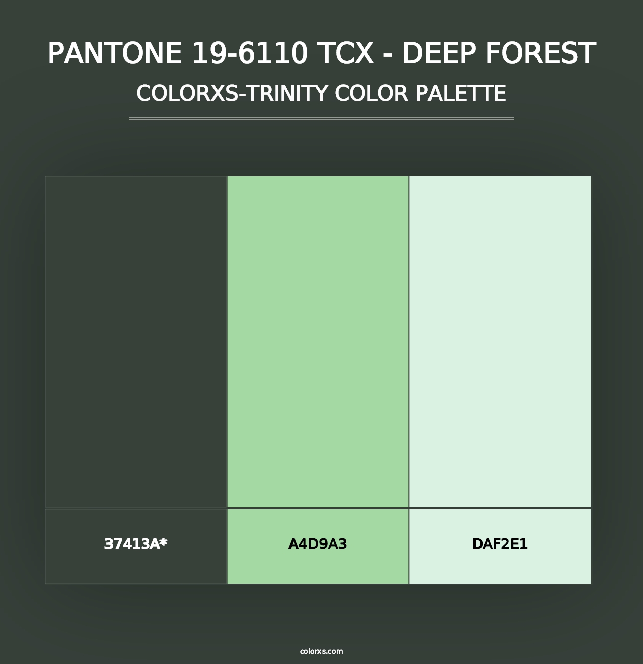 PANTONE 19-6110 TCX - Deep Forest - Colorxs Trinity Palette