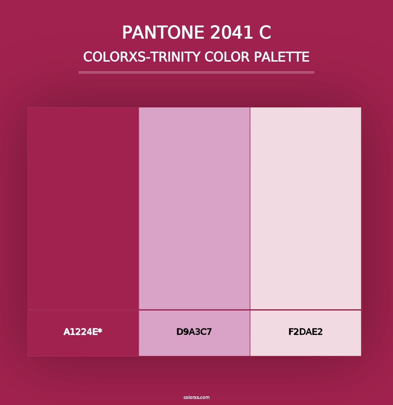 PANTONE 2041 C - Colorxs Trinity Palette