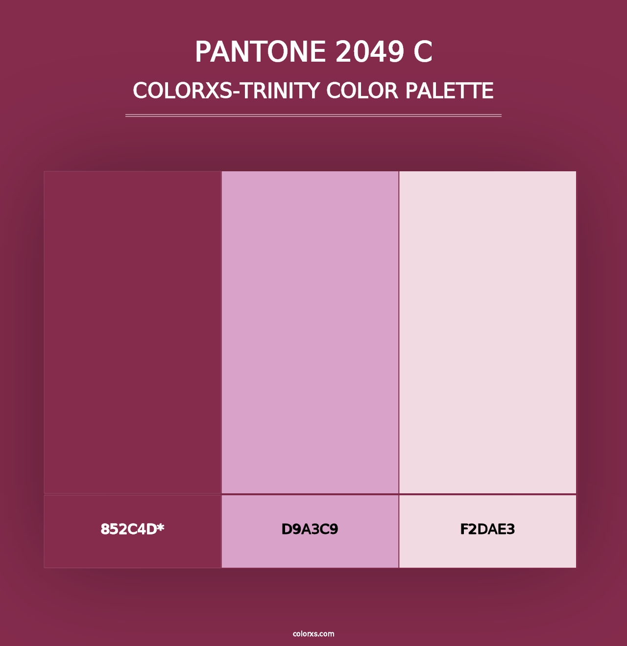 PANTONE 2049 C - Colorxs Trinity Palette