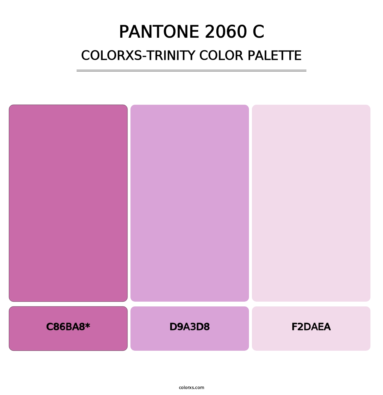 PANTONE 2060 C - Colorxs Trinity Palette