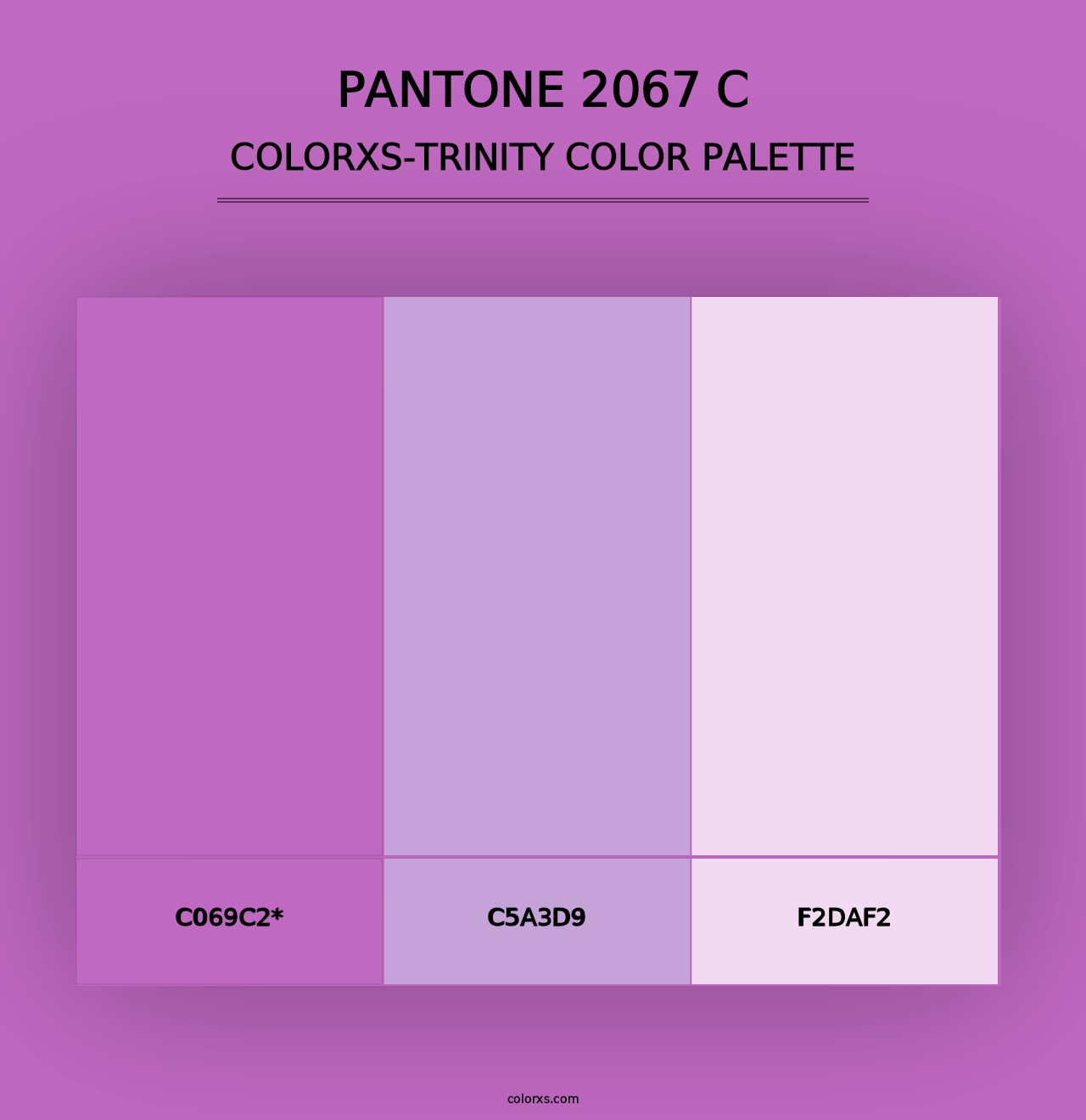 PANTONE 2067 C - Colorxs Trinity Palette