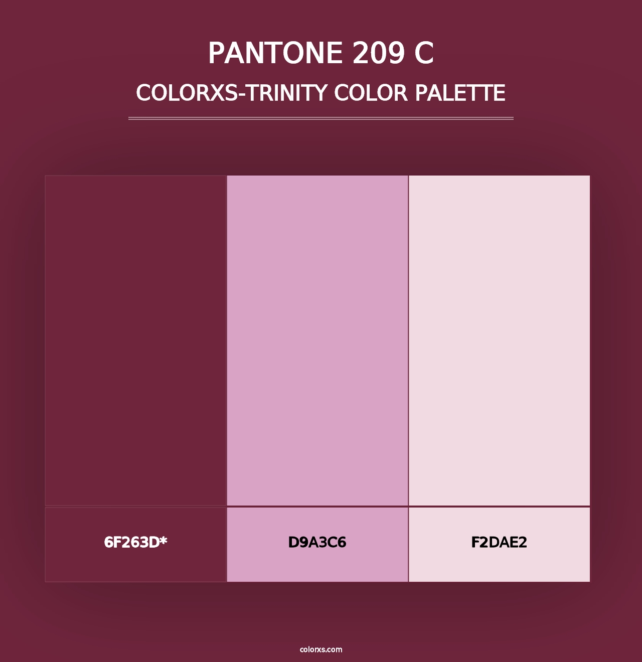 PANTONE 209 C - Colorxs Trinity Palette