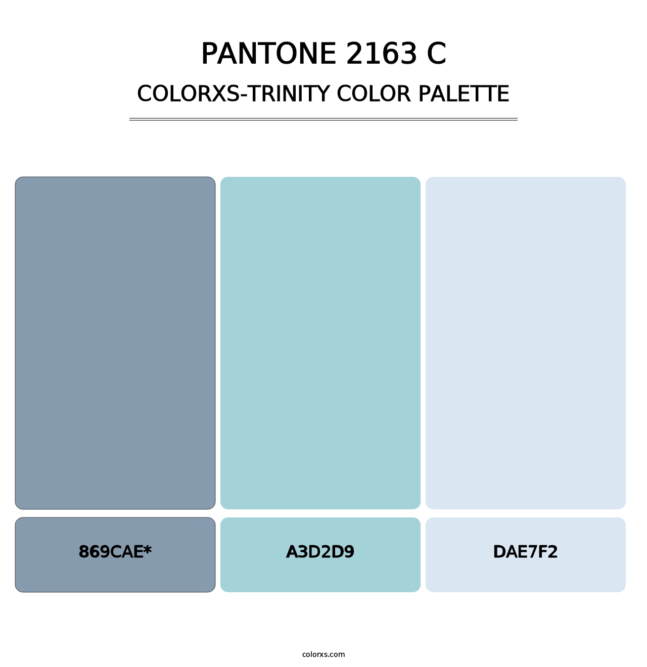 PANTONE 2163 C - Colorxs Trinity Palette