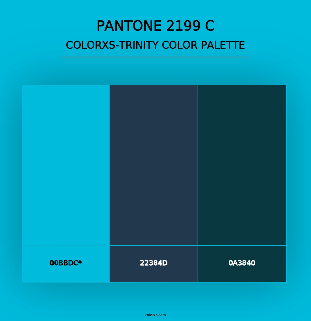 PANTONE 2199 C - Colorxs Trinity Palette