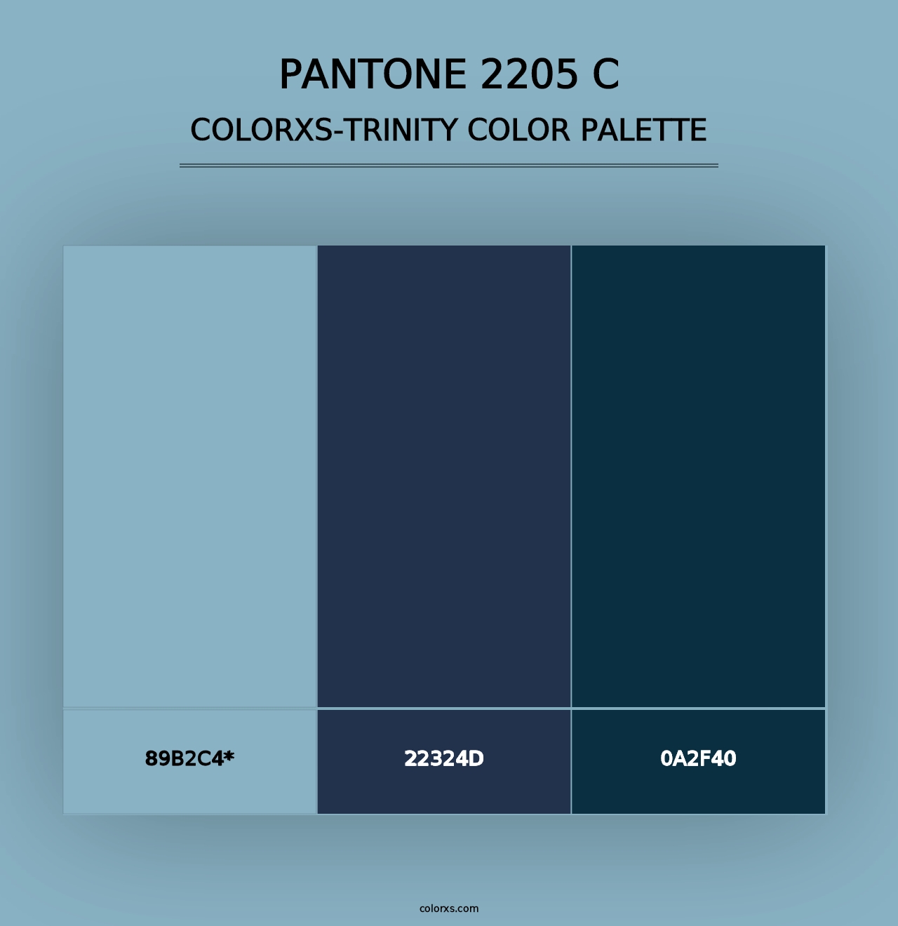 PANTONE 2205 C - Colorxs Trinity Palette