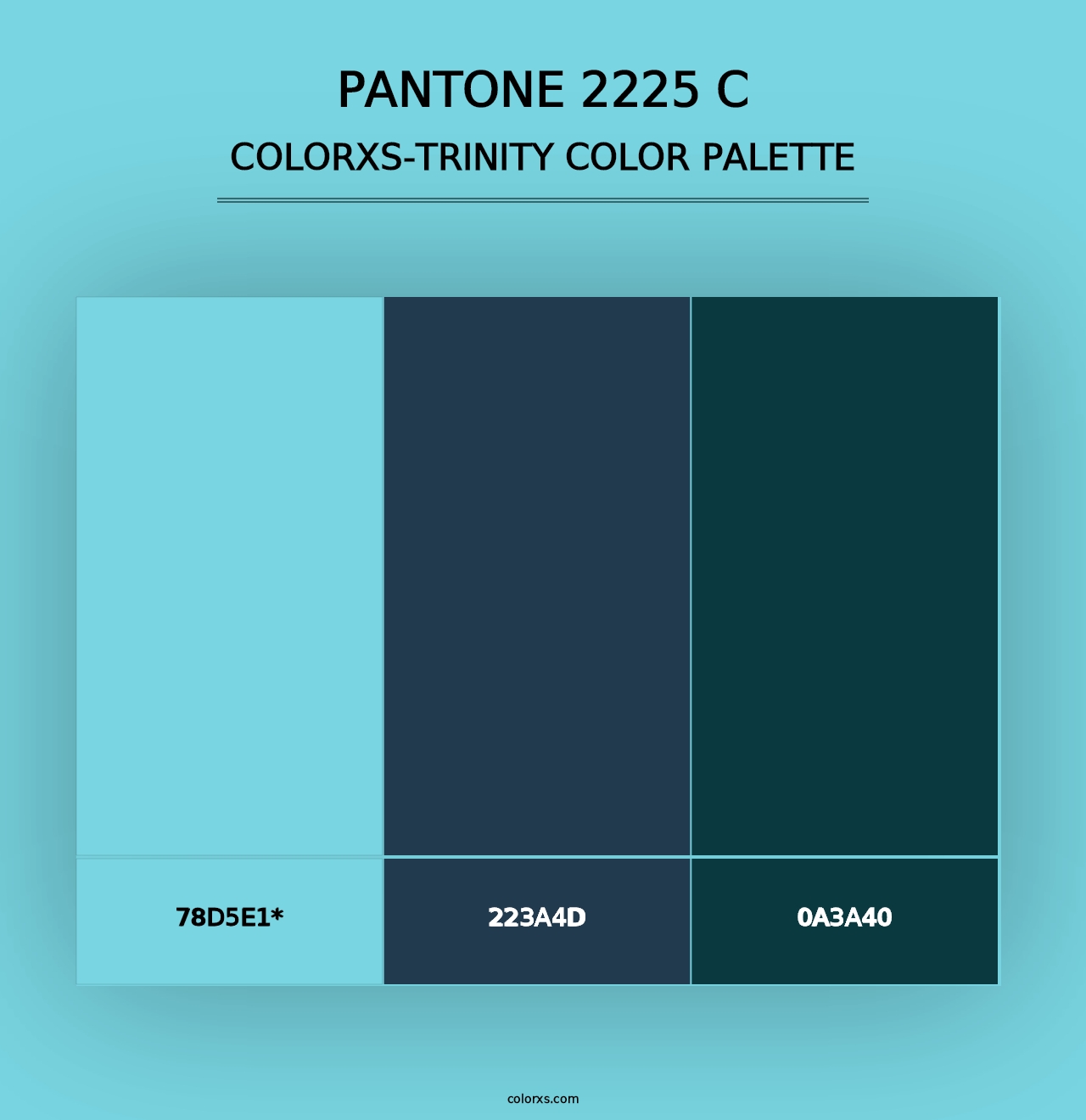 PANTONE 2225 C - Colorxs Trinity Palette